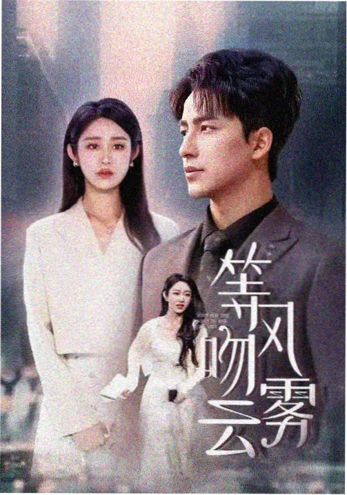 雾港纪事剧集海报